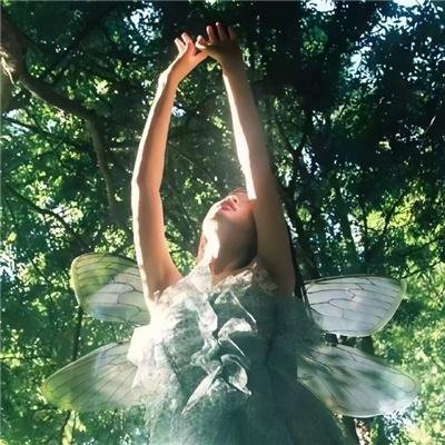 2024中国杂技大联欢